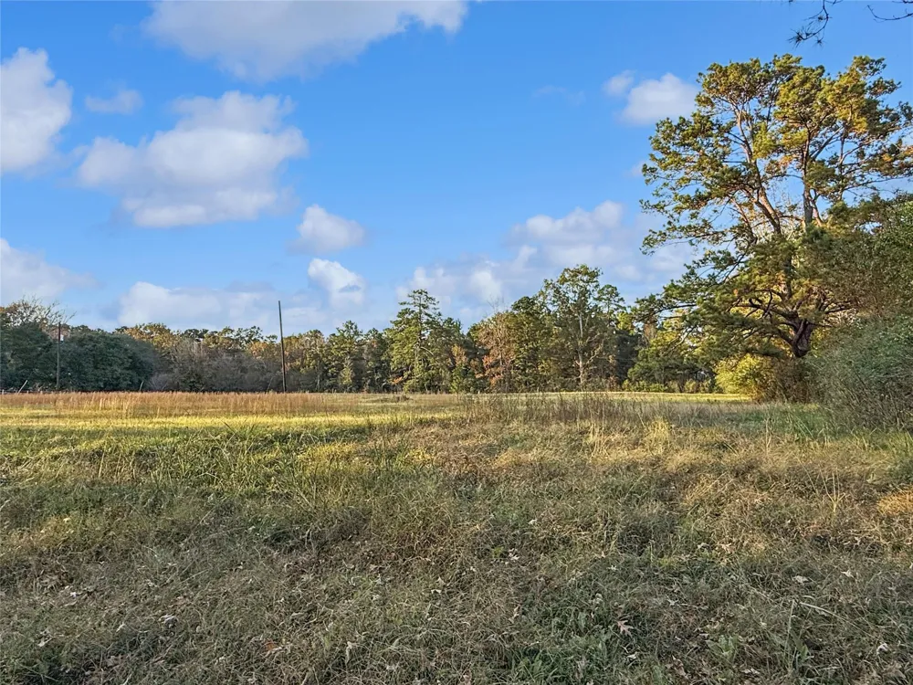 3301 County Road 2570 Woodville, TX 75979