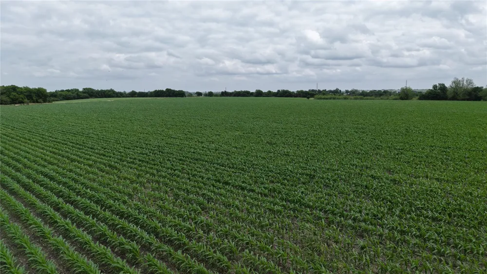 53 County Road 453 Taylor, TX 76574