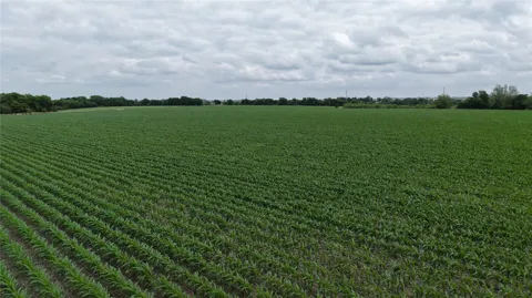 53 County Road 453