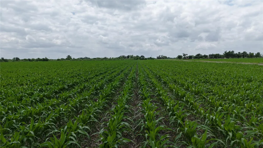 53 County Road 453 Taylor, TX 76574