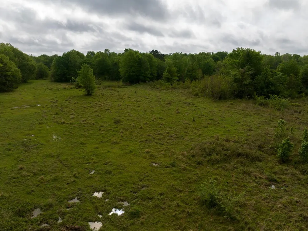Fodice Road Crockett, TX 75835