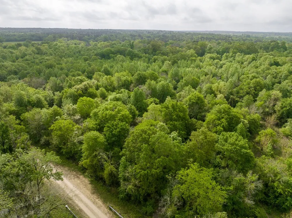 Fodice Road Crockett, TX 75835