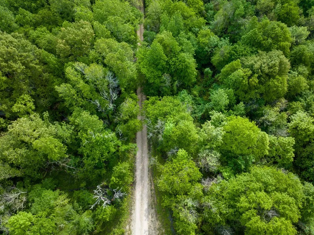 Fodice Road Crockett, TX 75835