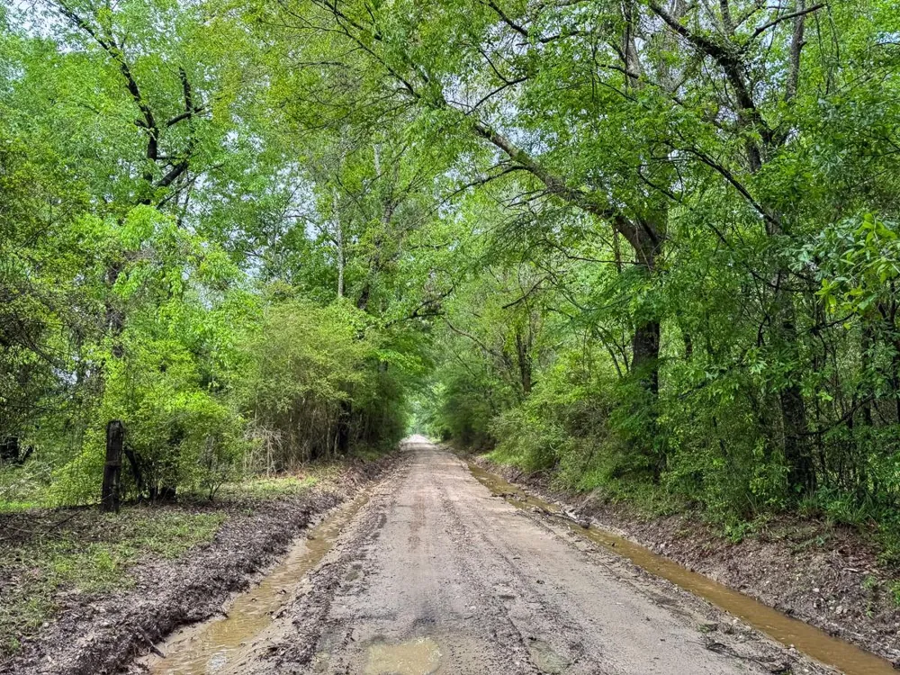 Fodice Road Crockett, TX 75835