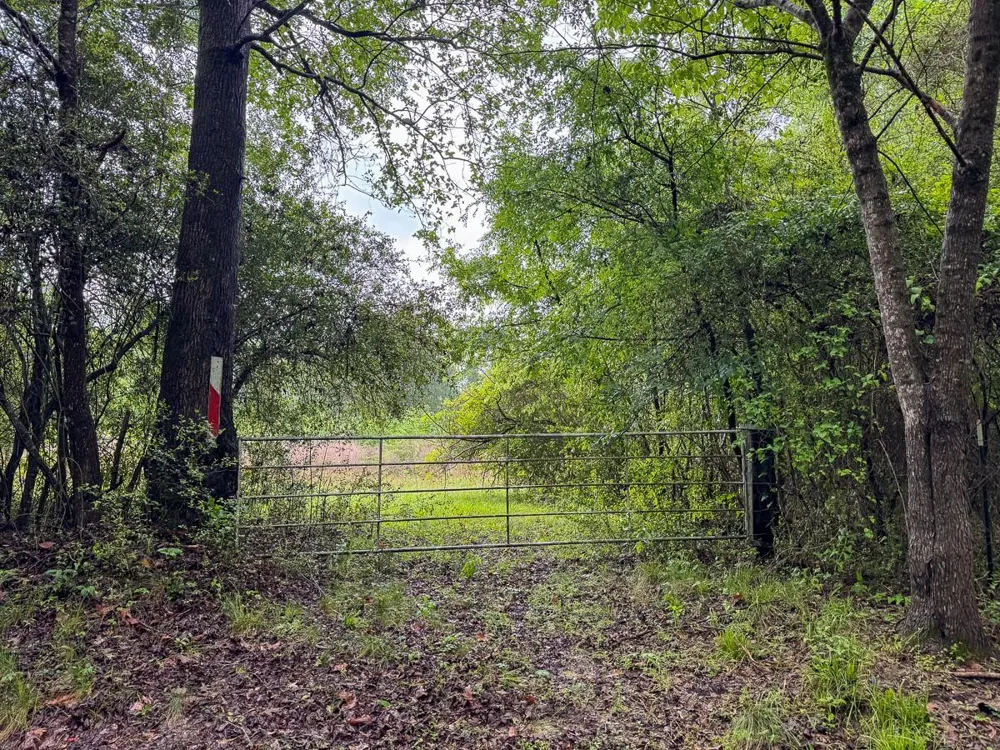 Fodice Road Crockett, TX 75835