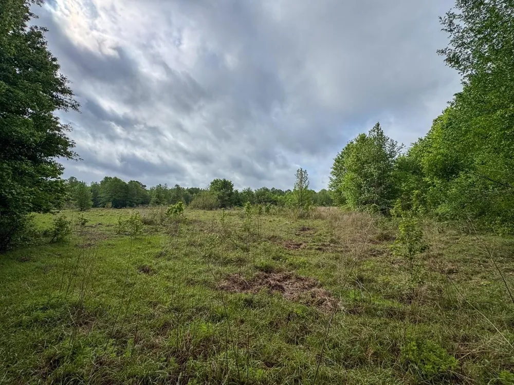 Fodice Road Crockett, TX 75835