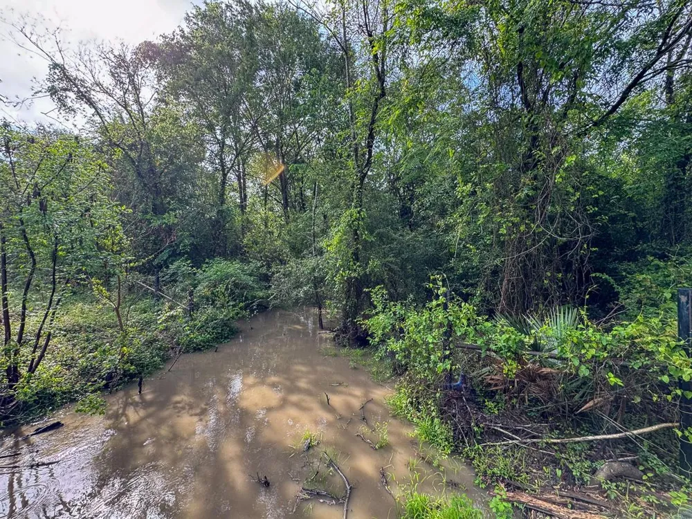 Fodice Road Crockett, TX 75835