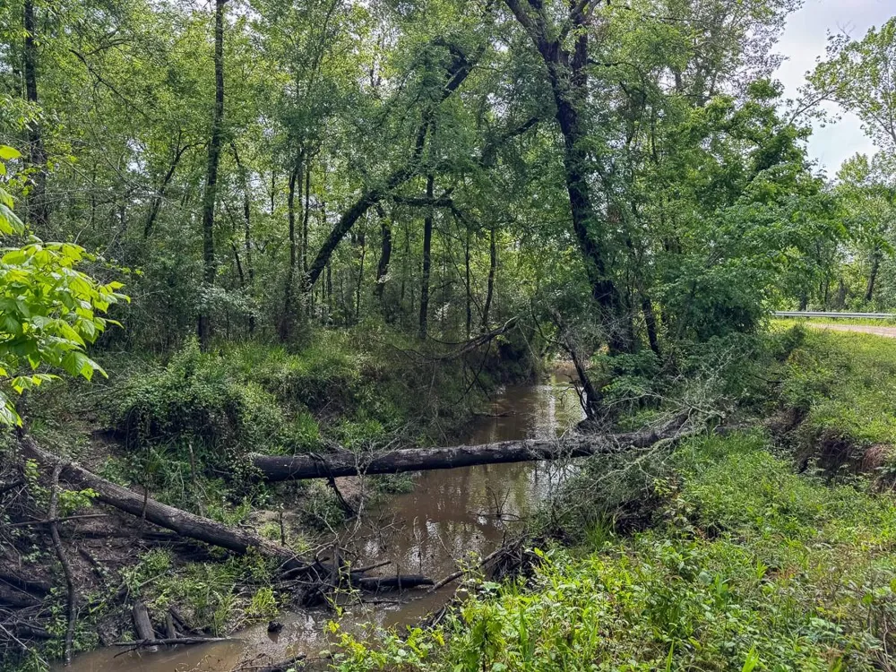Fodice Road Crockett, TX 75835