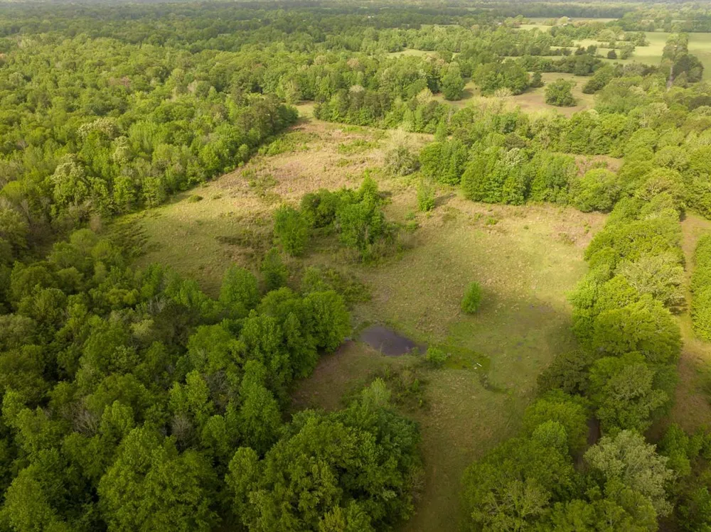 Fodice Road Crockett, TX 75835