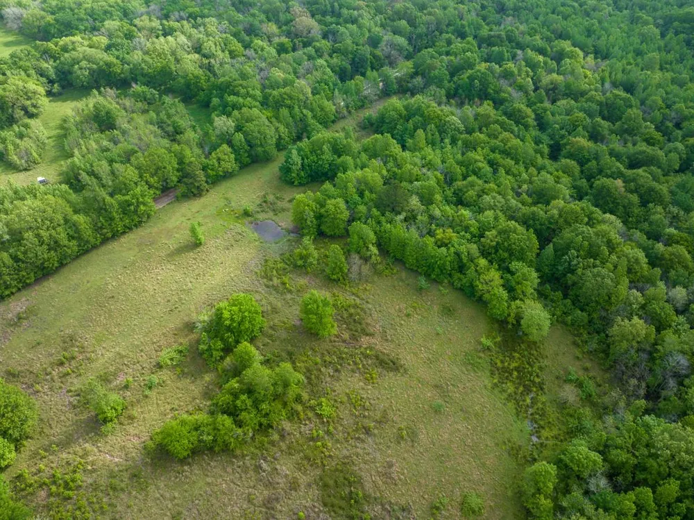 Fodice Road Crockett, TX 75835