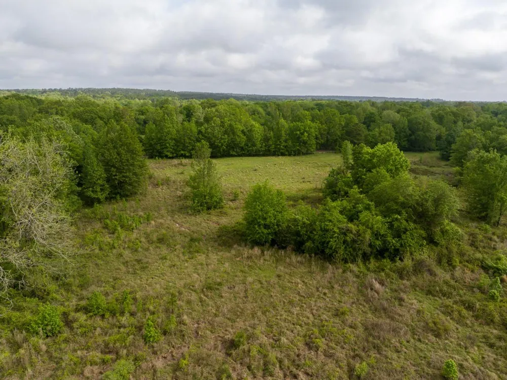 Fodice Road Crockett, TX 75835