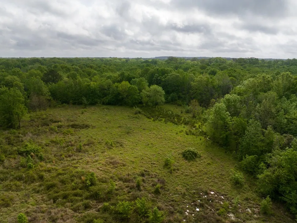 Fodice Road Crockett, TX 75835