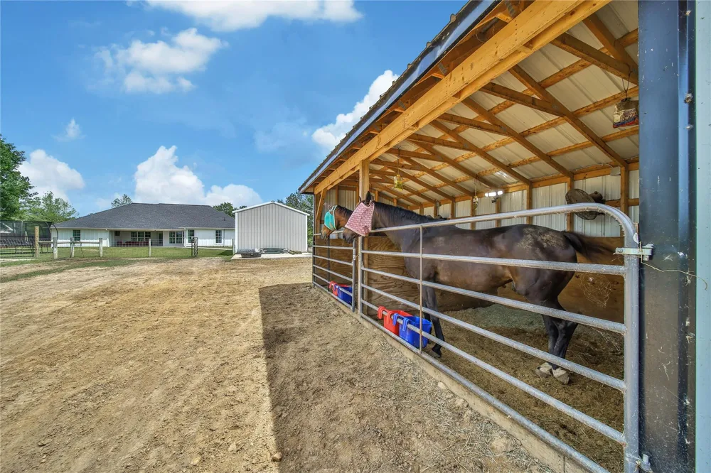 2063 White Buck Court Cleveland, TX 77328