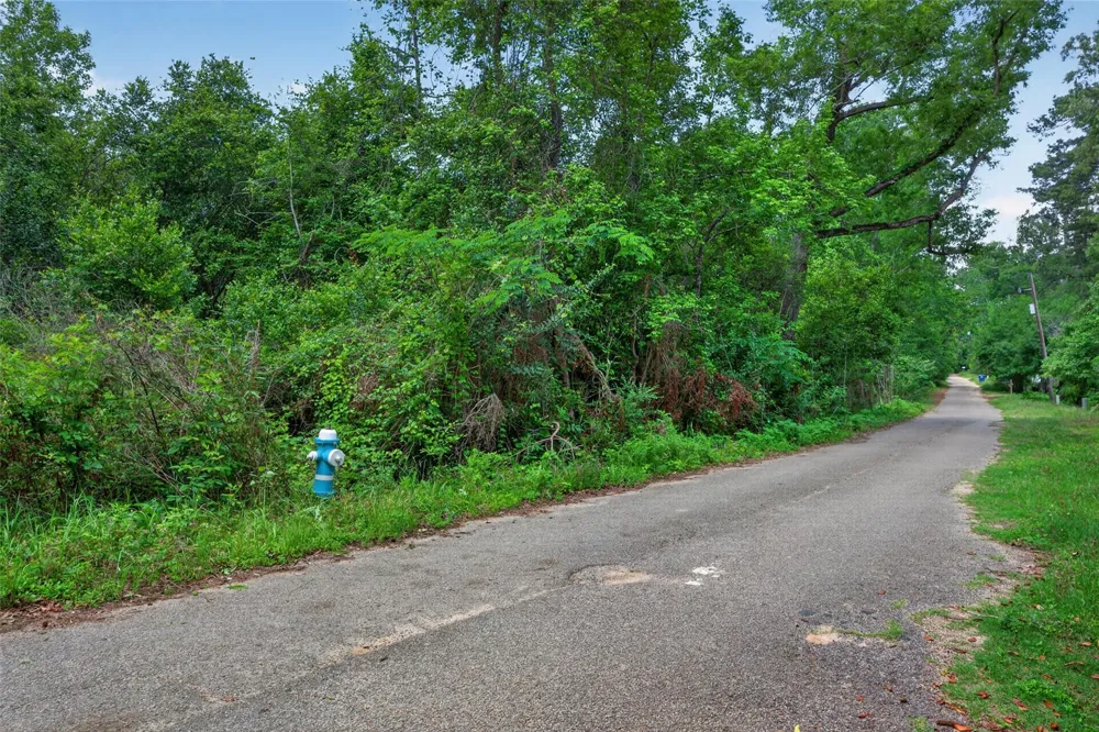 Black Street Splendora, TX 77372