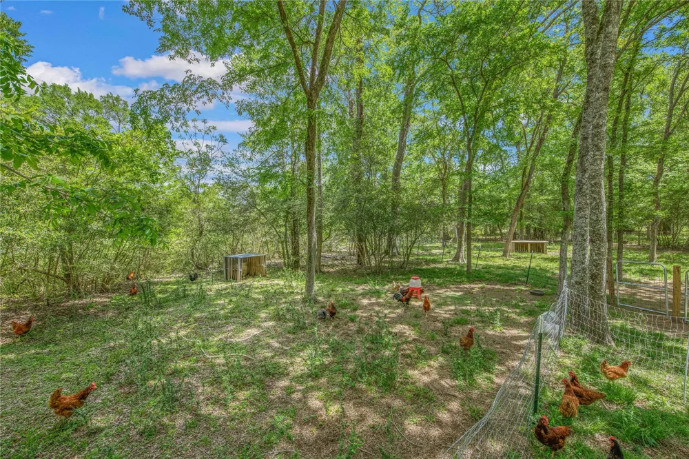 4855 Austins Creek Drive Bryan, TX 77808