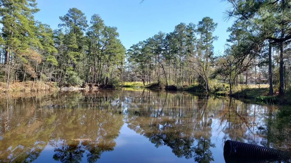 411 Big Deer Drive Crosby, TX 77532
