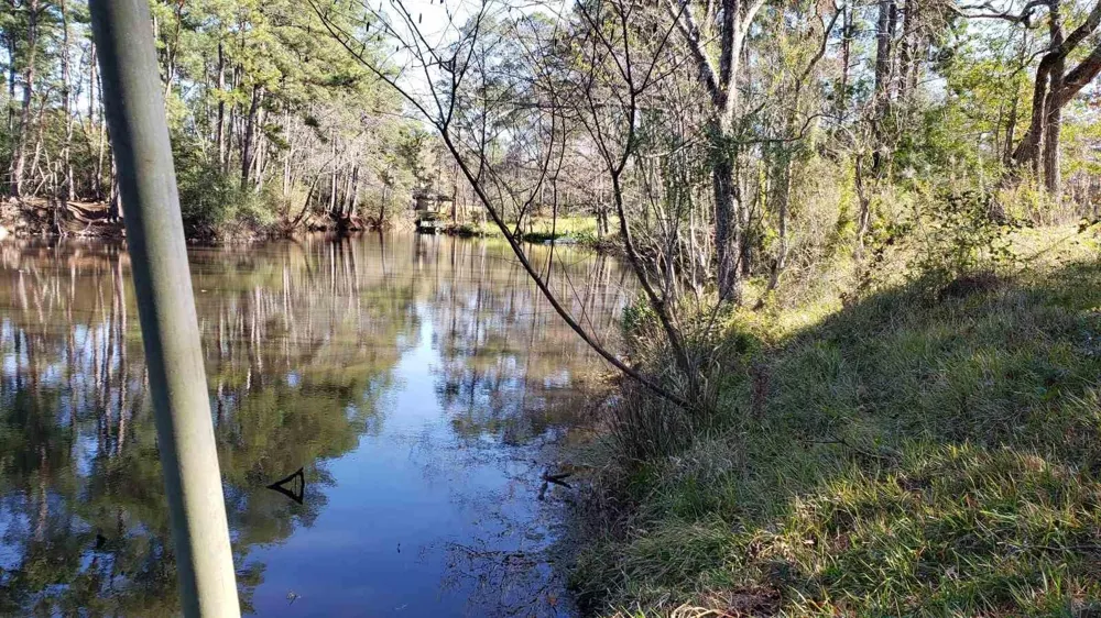411 Big Deer Drive Crosby, TX 77532
