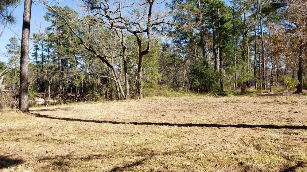 411 Big Deer Drive Crosby, TX 77532