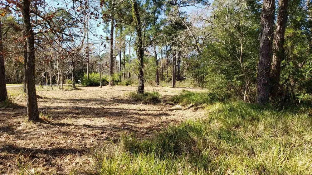 411 Big Deer Drive Crosby, TX 77532