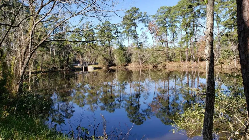 411 Big Deer Drive Crosby, TX 77532