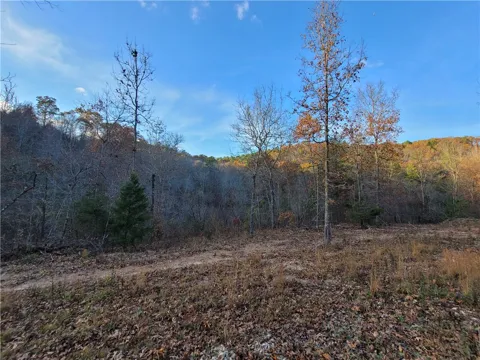 1272 Ramblewood Trail