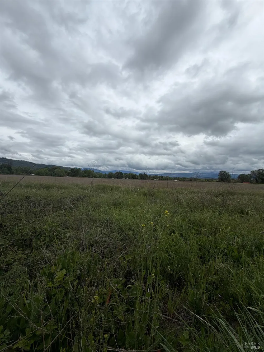 77685 Crawford Road Covelo, CA 95428