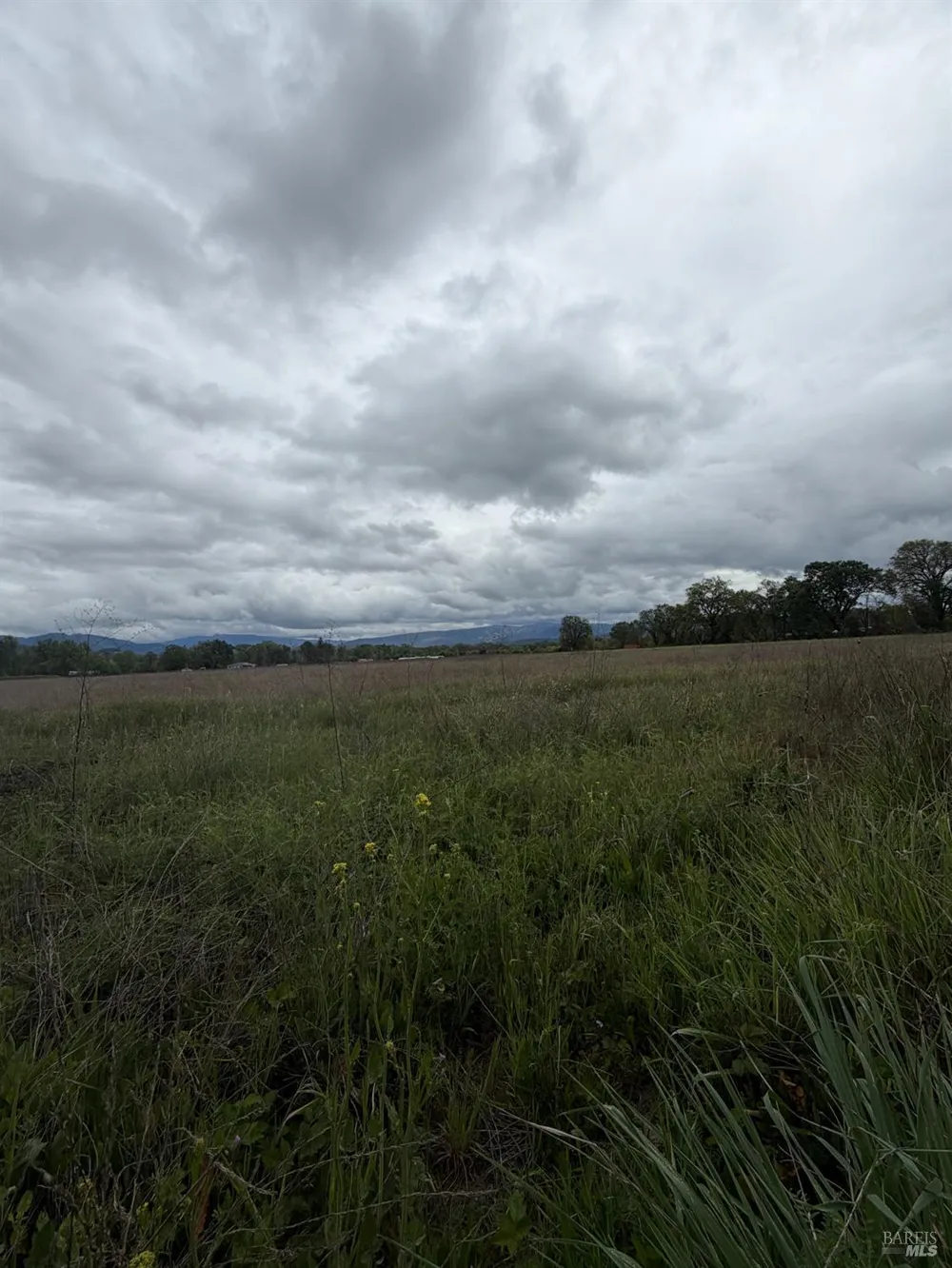 77685 Crawford Road Covelo, CA 95428