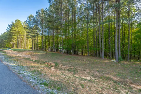 295 Bear Trace Drive