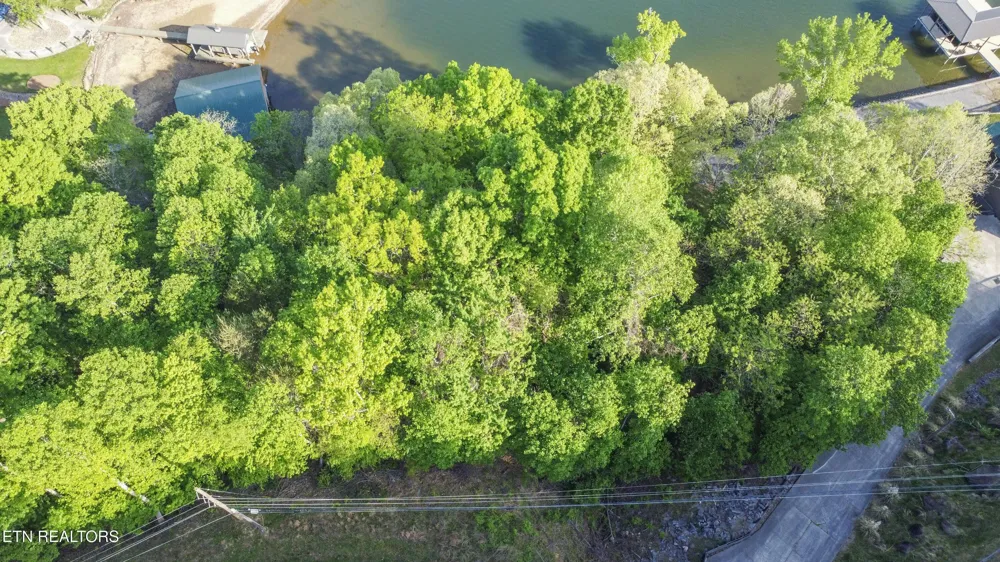 1400 Indian Shadows Drive Ten Mile, TN 37880
