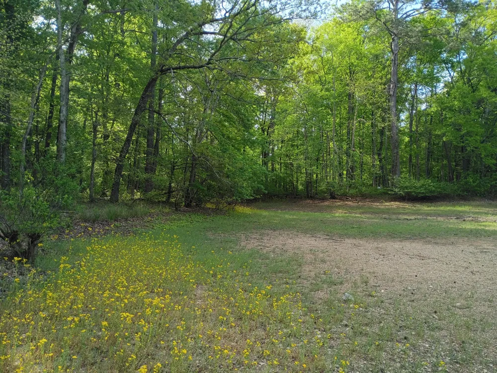 44 County Road 219 Decatur, TN 37322