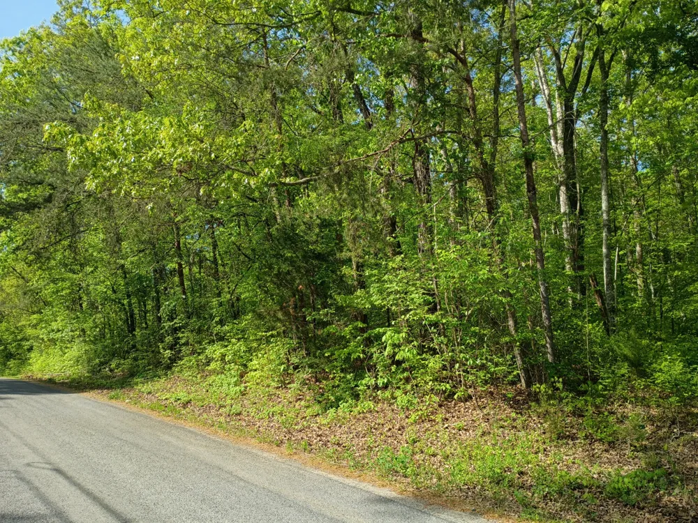 44 County Road 219 Decatur, TN 37322