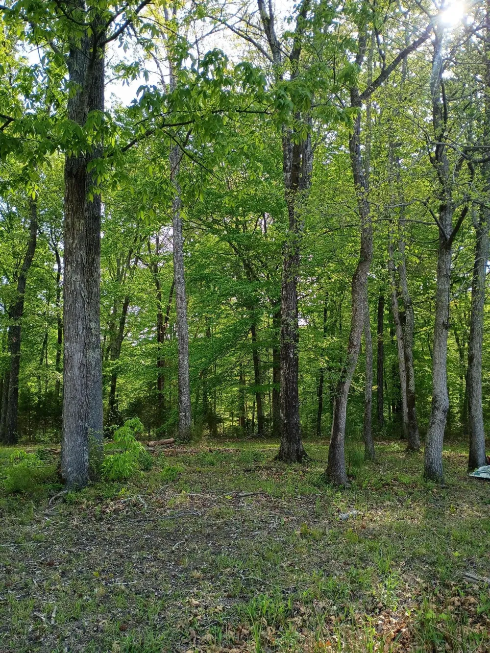 44 County Road 219 Decatur, TN 37322