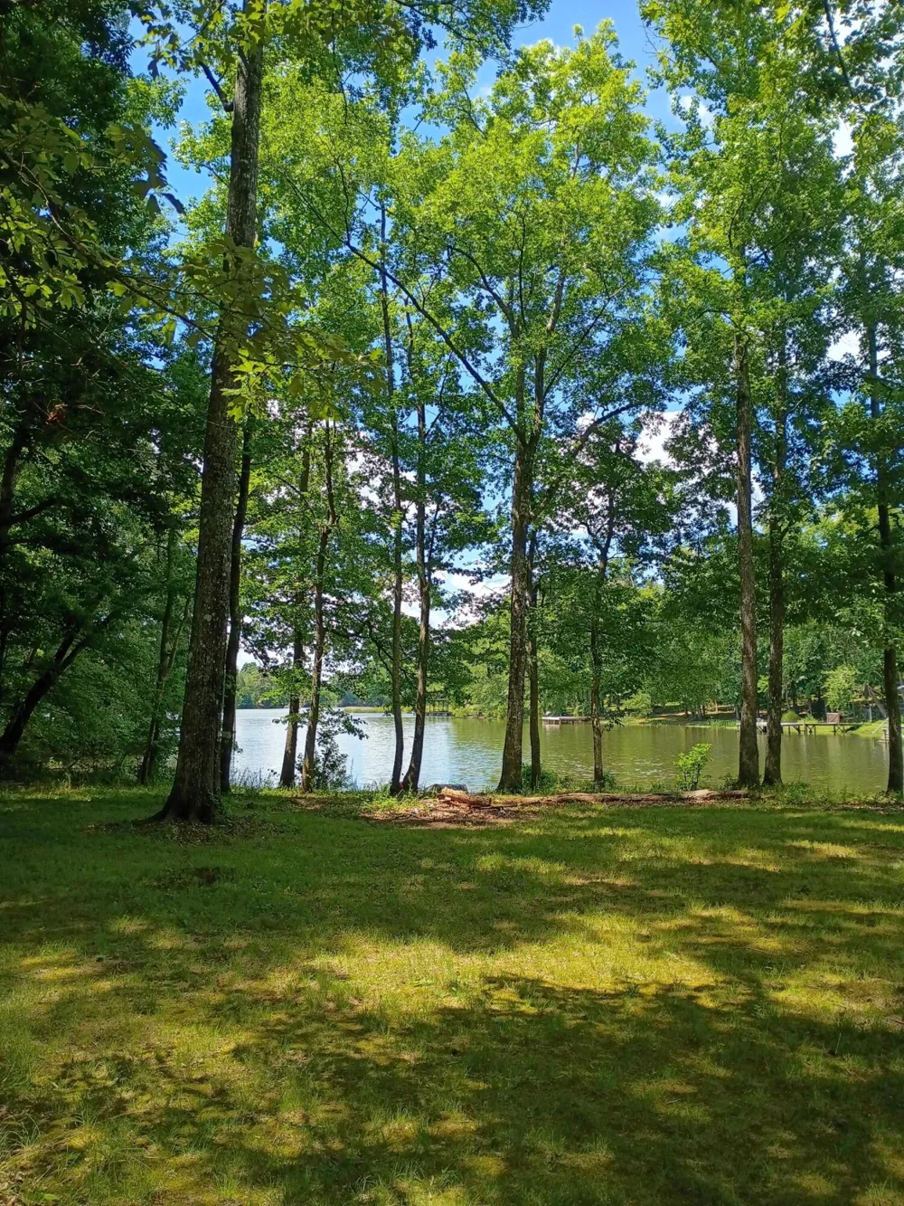 44 County Road 219 Decatur, TN 37322