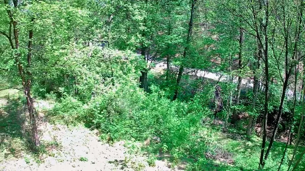 3734 Highway 41 Trail Ringgold, GA 30736