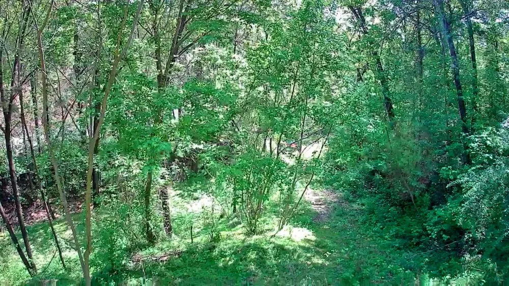 3734 Highway 41 Trail Ringgold, GA 30736