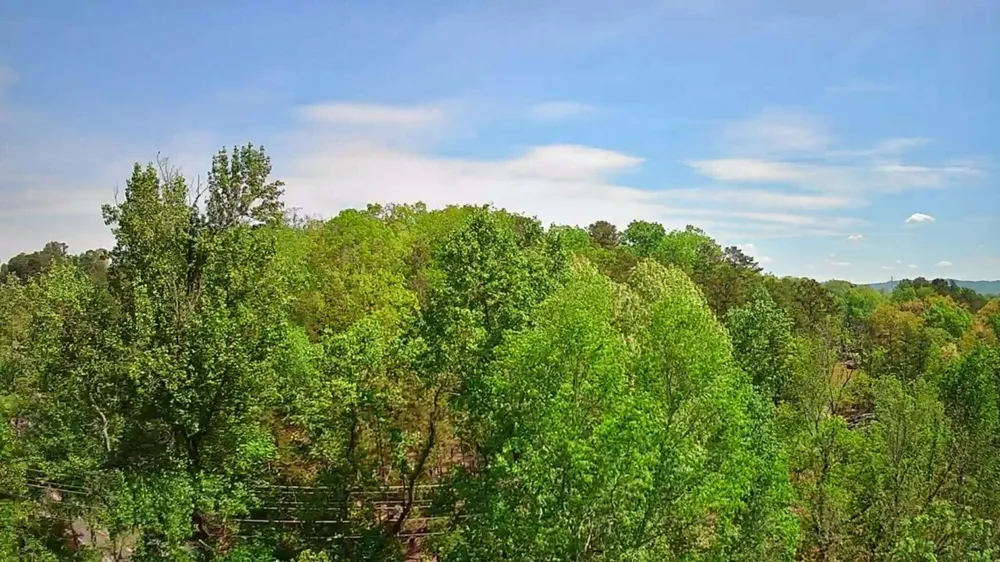 3734 Highway 41 Trail Ringgold, GA 30736