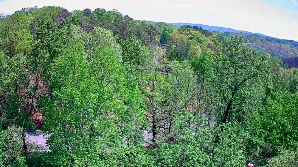 3734 Highway 41 Trail Ringgold, GA 30736