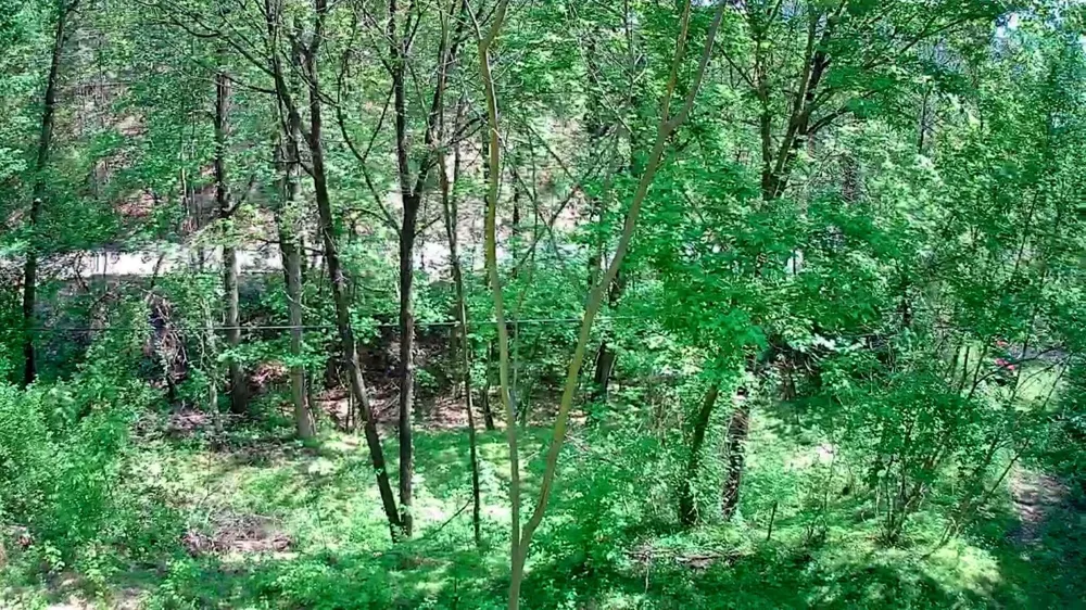 3734 Highway 41 Trail Ringgold, GA 30736