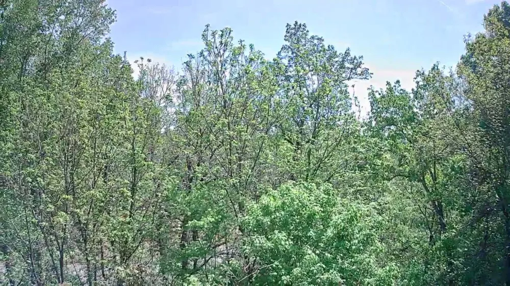 3734 Highway 41 Trail Ringgold, GA 30736