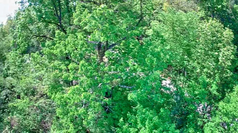 3734 Highway 41 Trail Ringgold, GA 30736