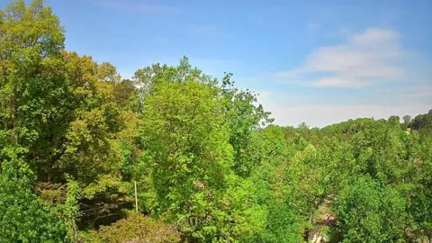 3734 Highway 41 Trail