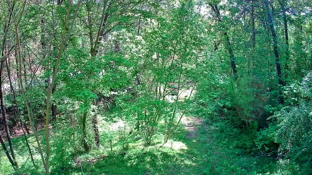 3734 Highway 41 Trail Ringgold, GA 30736