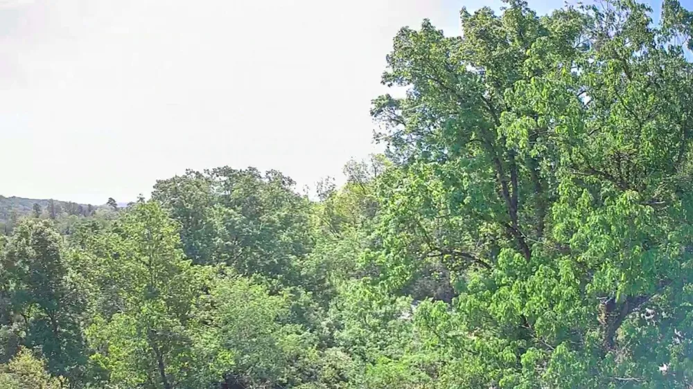 3734 Highway 41 Trail Ringgold, GA 30736