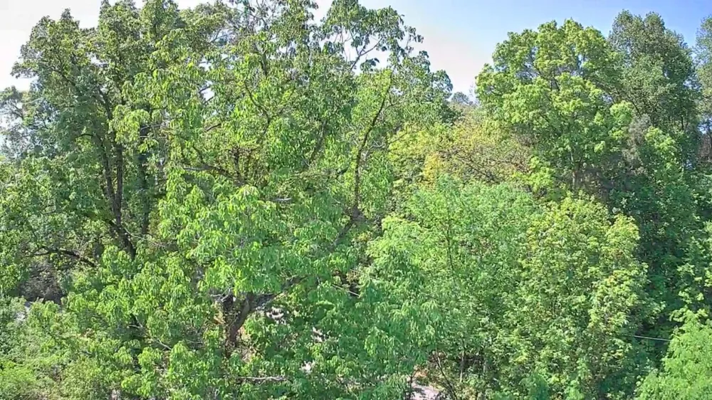 3734 Highway 41 Trail Ringgold, GA 30736