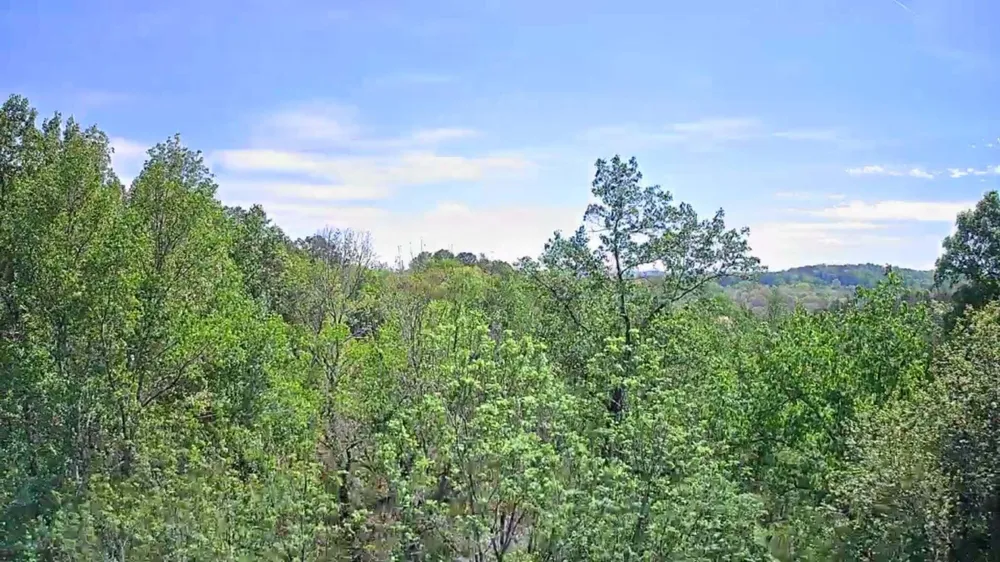 3734 Highway 41 Trail Ringgold, GA 30736
