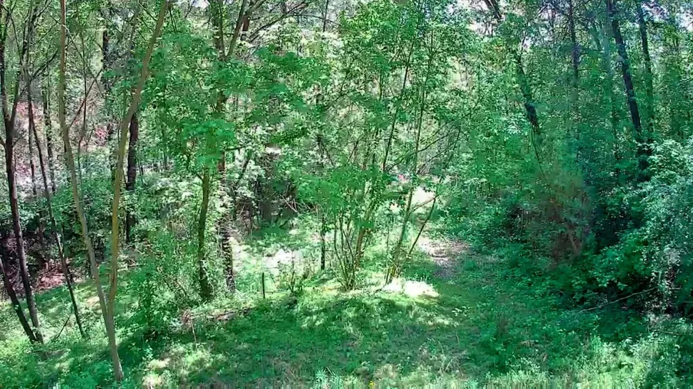 3734 Highway 41 Trail Ringgold, GA 30736