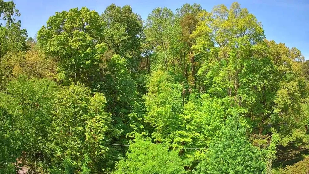 3734 Highway 41 Trail Ringgold, GA 30736