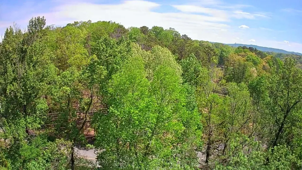 3734 Highway 41 Trail Ringgold, GA 30736