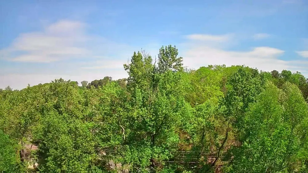 3734 Highway 41 Trail Ringgold, GA 30736