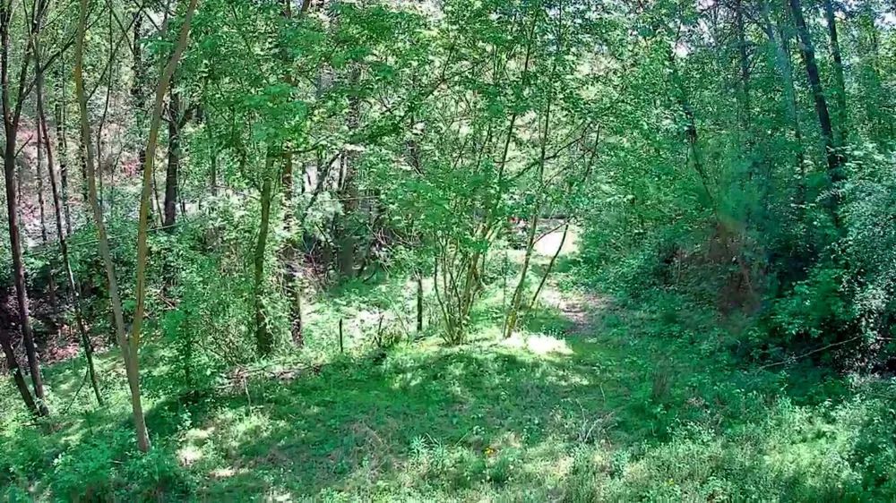 3734 Highway 41 Trail Ringgold, GA 30736